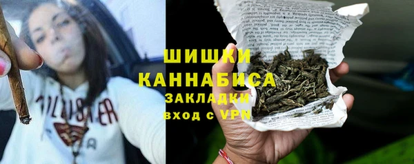 стаф Кущёвская