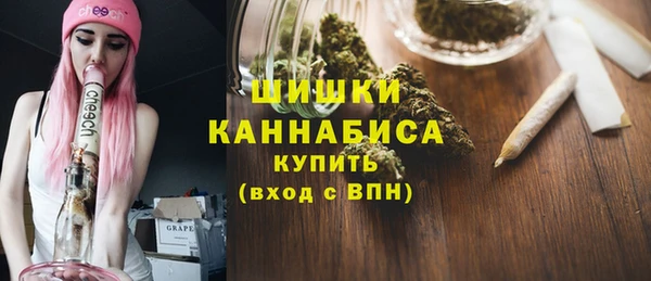 стаф Няндома