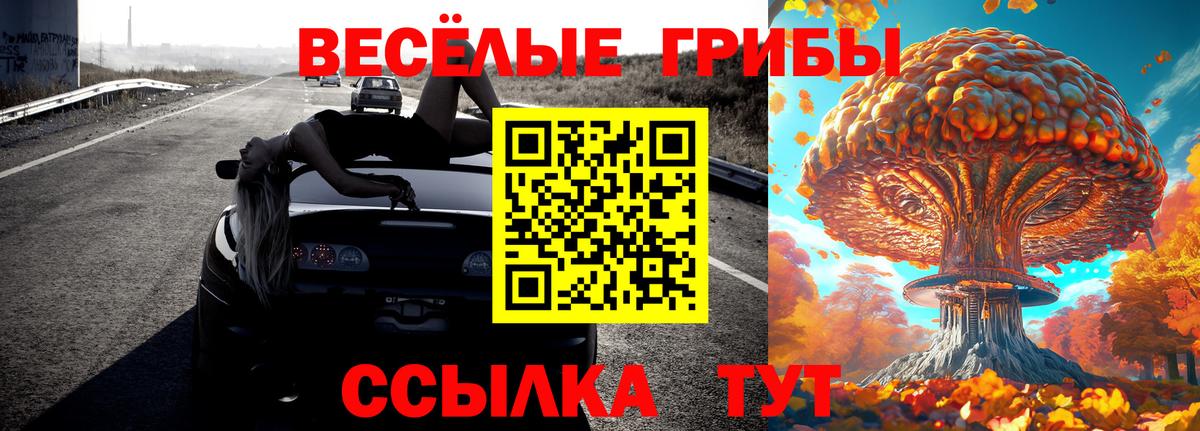 Псилоцибиновые грибы мухоморы  Вход с VPN  Лениногорск 