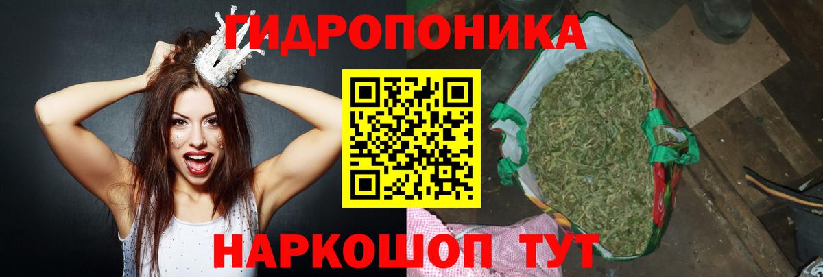 Шишки марихуана ГИДРОПОН Лениногорск